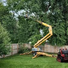 Reliable Berea, SC Tree Removal and Landscaping Services Solutions